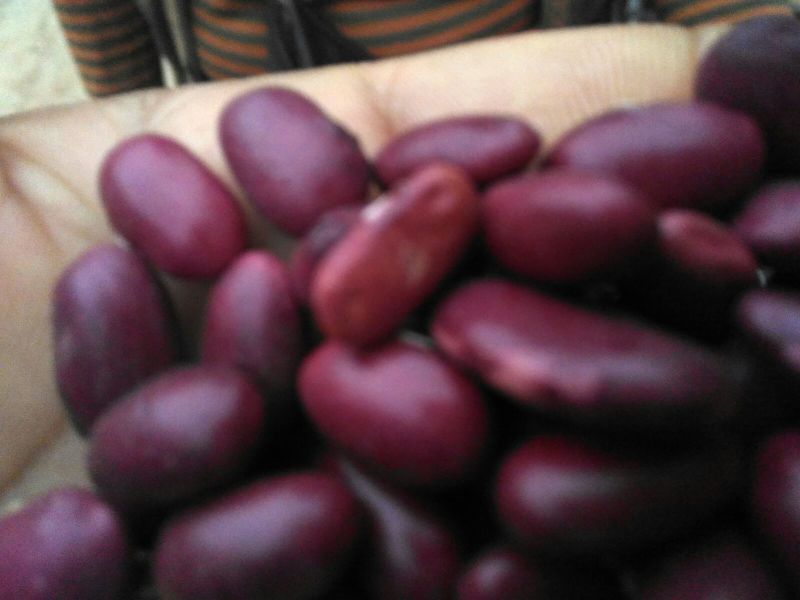 红豆袋装