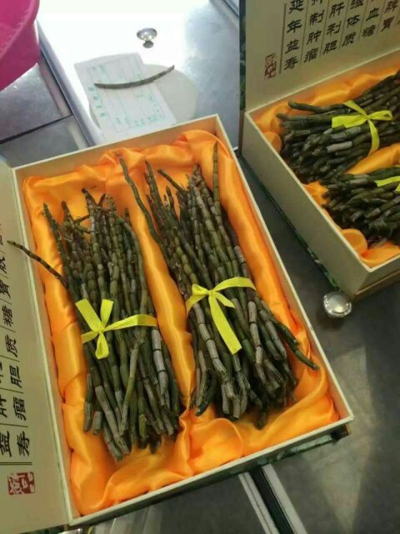 铁皮石斛鲜条雁荡山原产地