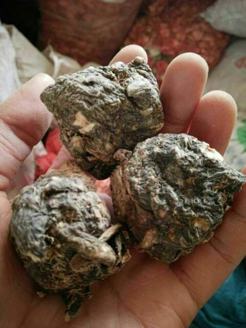 黑玛卡黑色