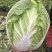 白菜黄心大白菜一级子弹头
