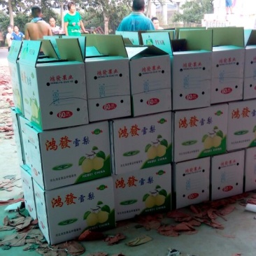雪花梨250~300g纸箱