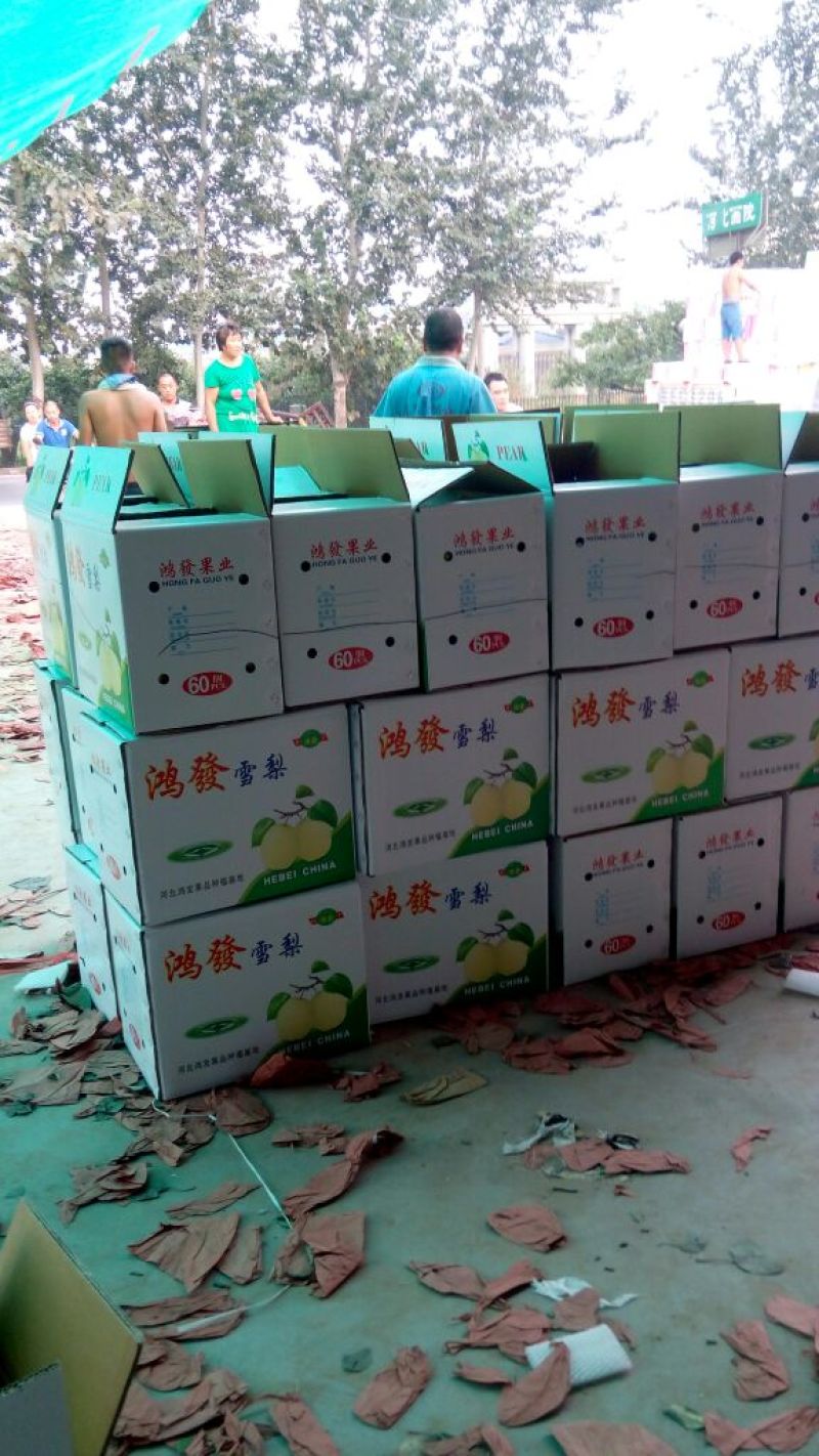 雪花梨250~300g纸箱