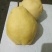 香蕉梨300~350g纸袋
