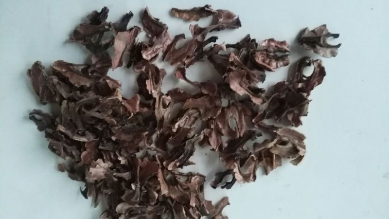 分心木