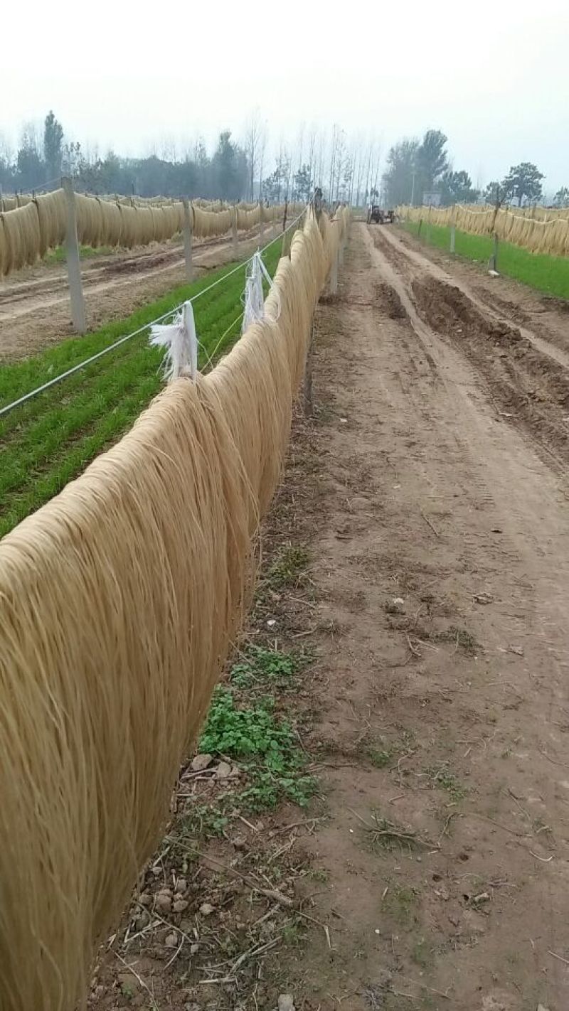 红薯粉皮