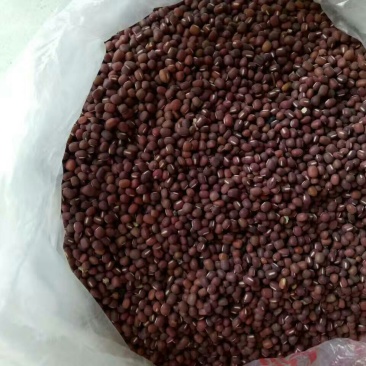 红小豆袋装