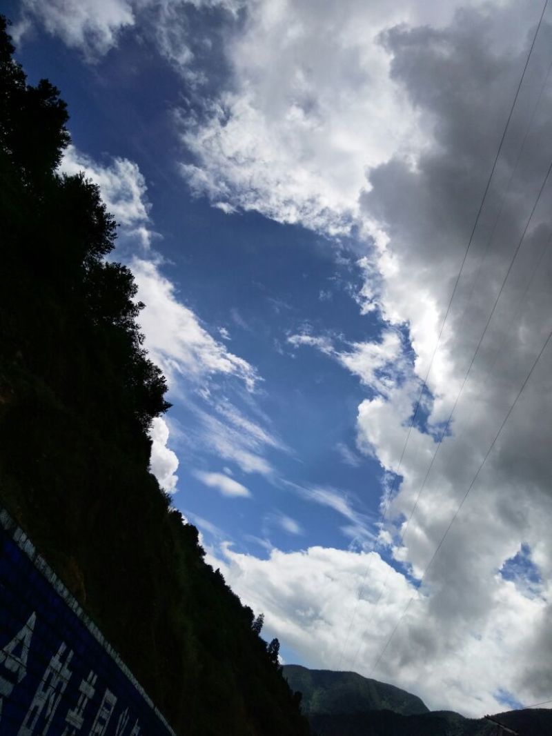 鸡散养土鸡2~3斤
