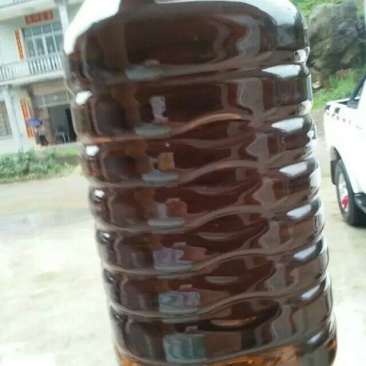 压榨菜籽油一级