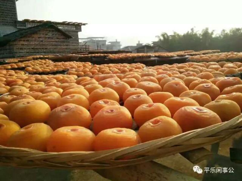 柿饼1~2两