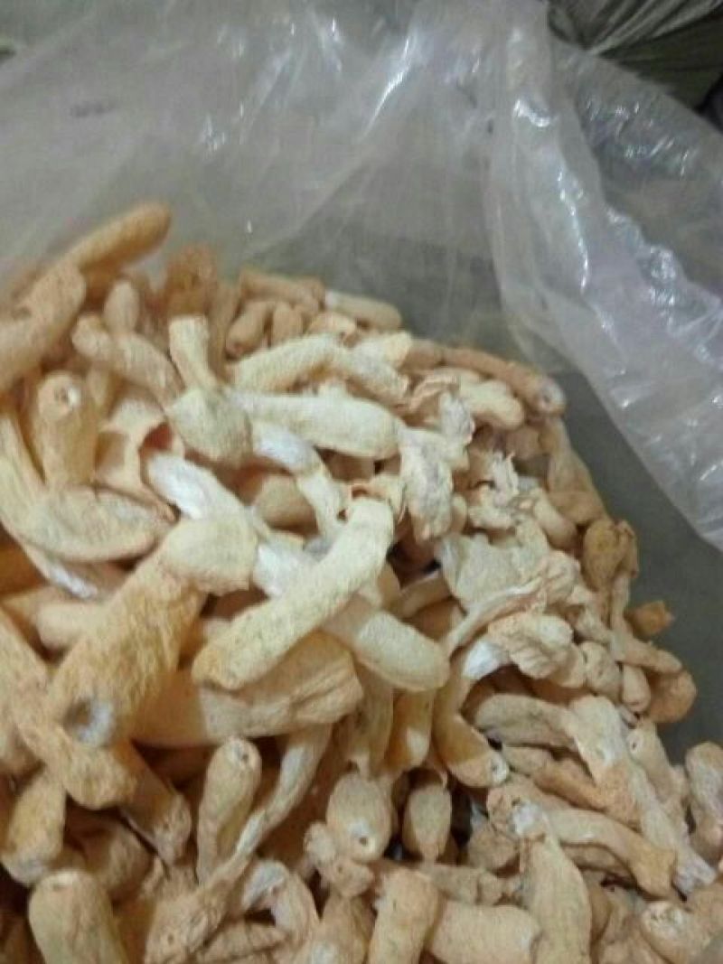 干竹荪特级