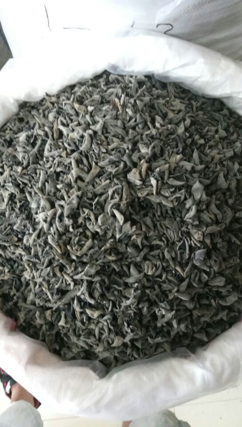 黑木耳特级