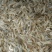 河虾冰鲜虾26~30只/kg