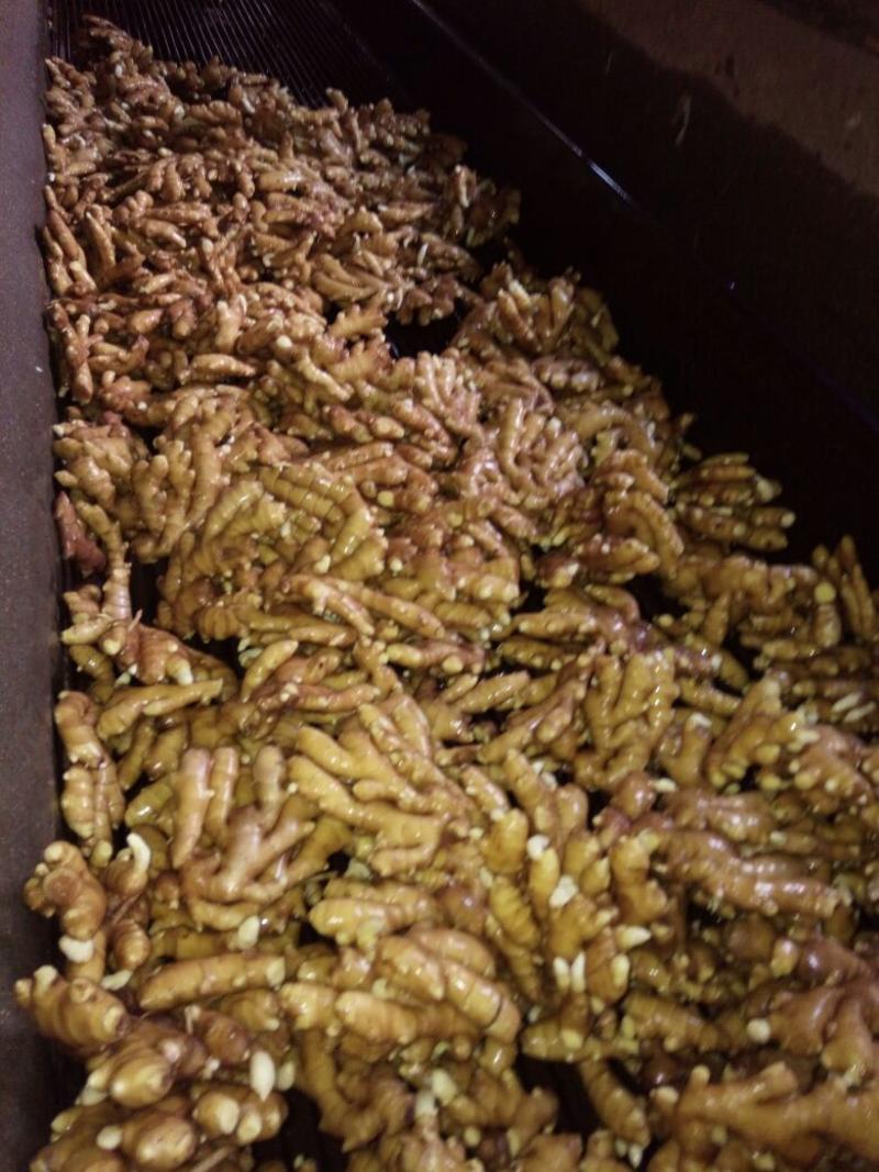 小黄姜批发产地常年供应生姜小姜姜支持全国发货