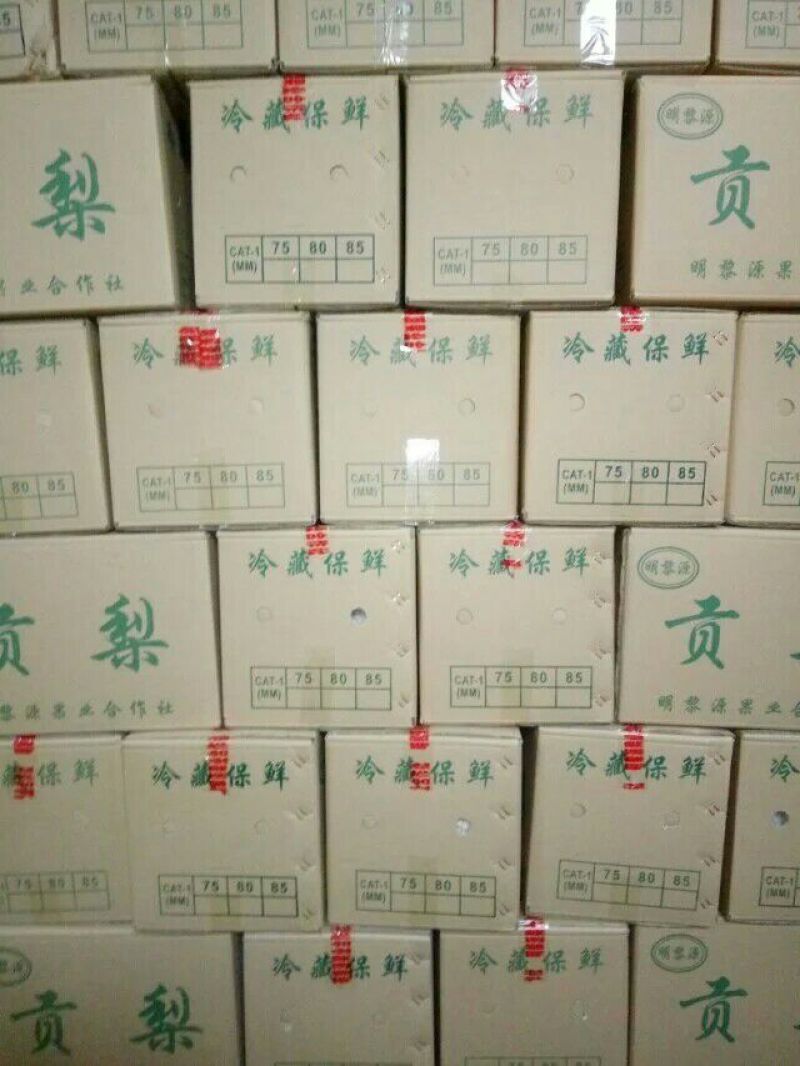 酥梨250~300g纸箱