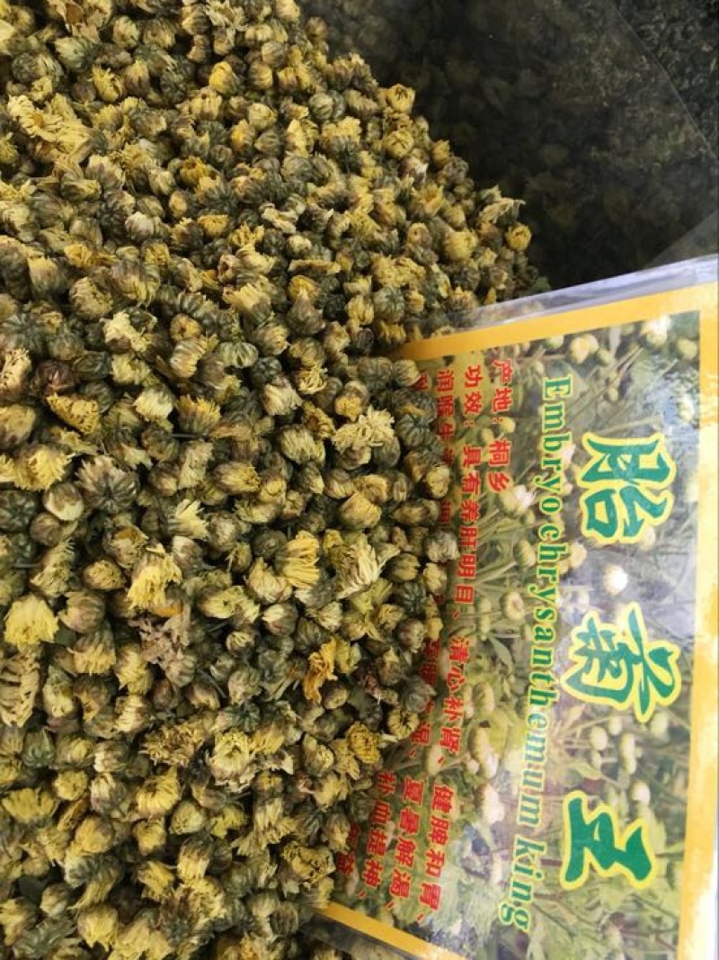 菊花茶
