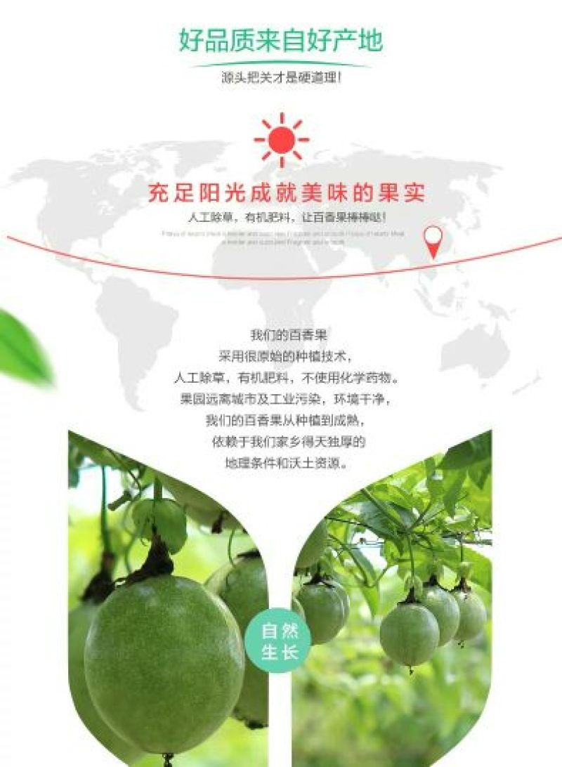 百香果紫果90~100g