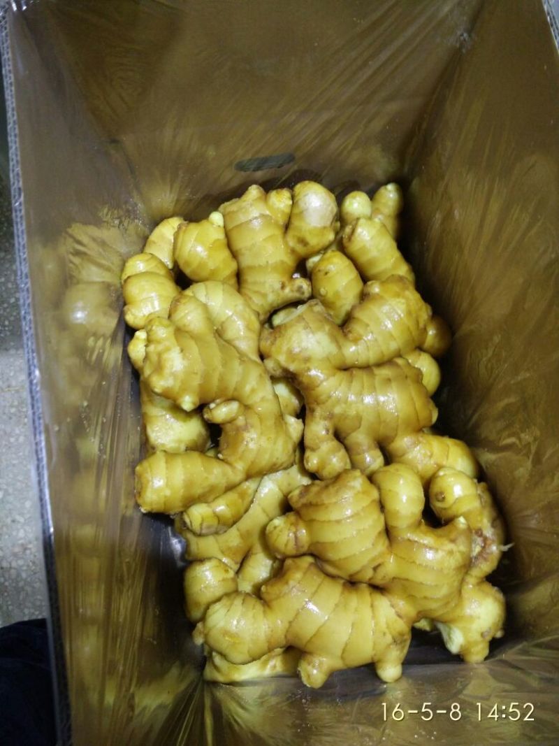 面姜1两以上水洗