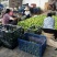 贵妃梨100~300g光果产地直销无中间环节价格合理