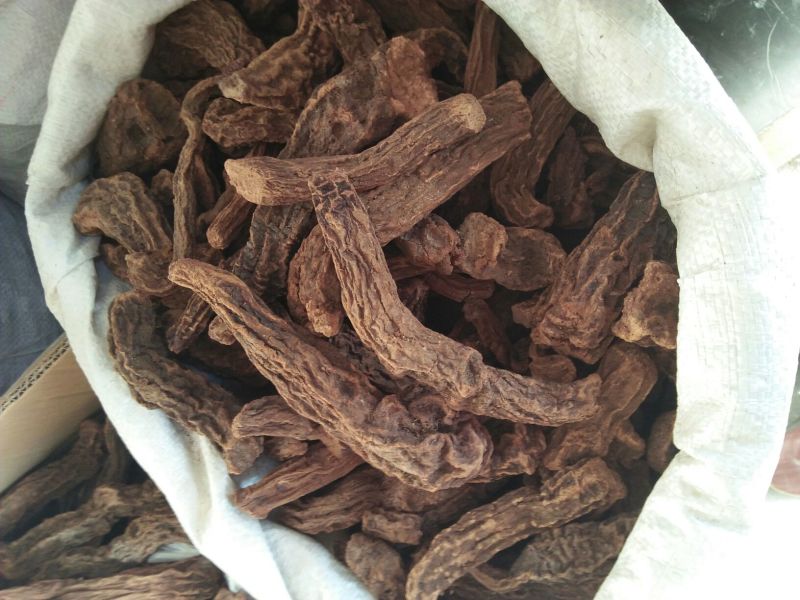 锁阳统货