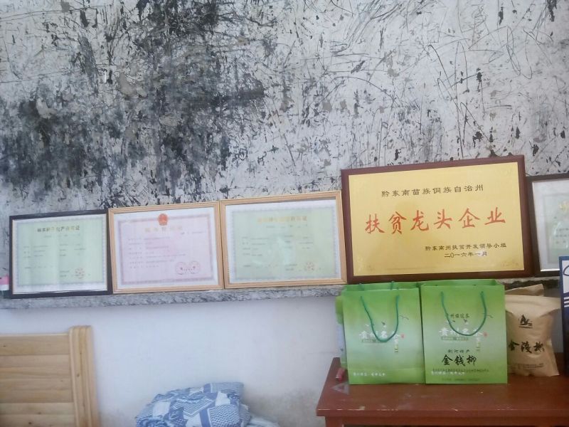青钱柳茶一级