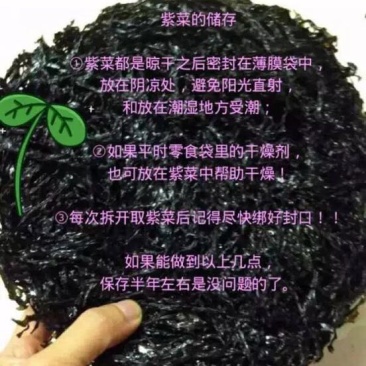 福建紫菜现货供应无杂质烘烤干无沙圆饼紫菜口感好嫩