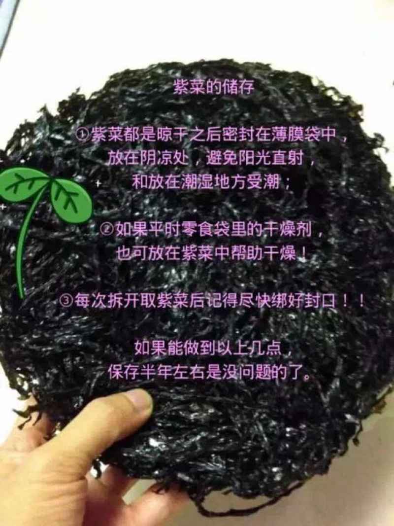 福建紫菜现货供应无杂质烘烤干无沙圆饼紫菜口感好嫩