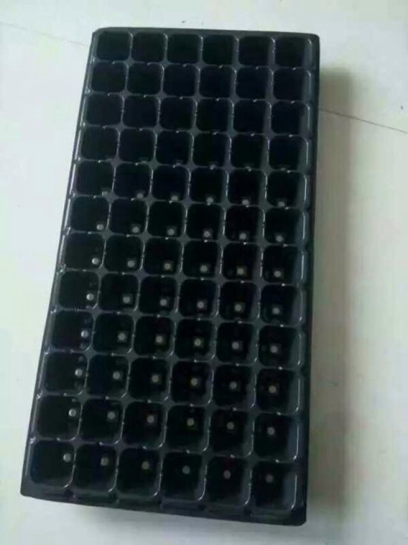 穴盘