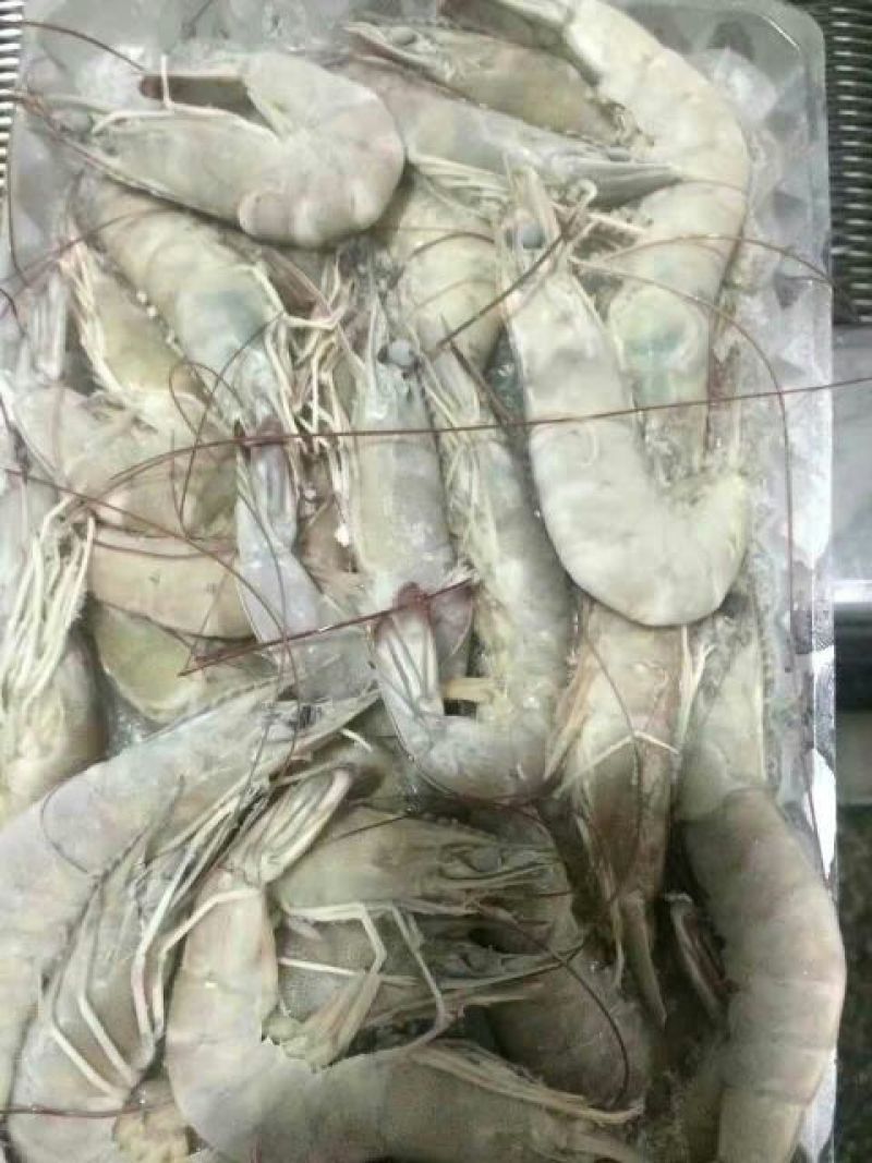 青虾食用26~30只/kg