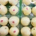皇冠梨550~600g纸加膜