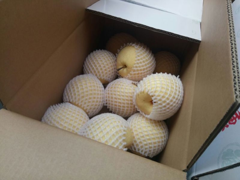 贡梨250~300g纸箱