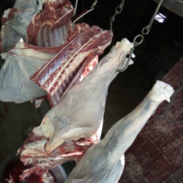 驴肉