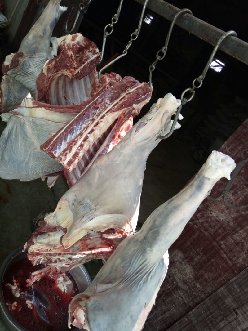 驴肉