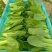 小油菜1两以上