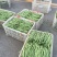 蛇豆大量上市欢迎新老客户选购