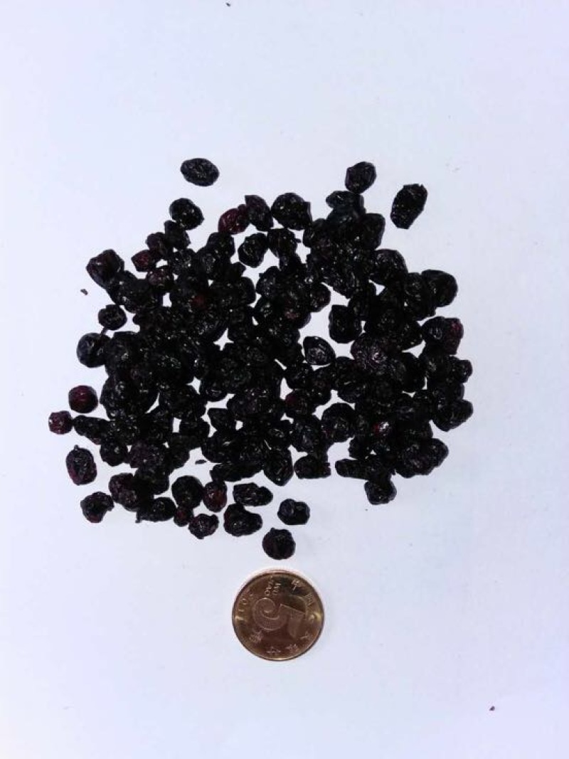 野生蓝莓