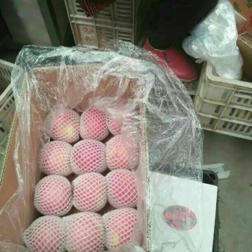 嘎啦苹果纸袋,货源充足,代办一切手续,欢迎考察选购