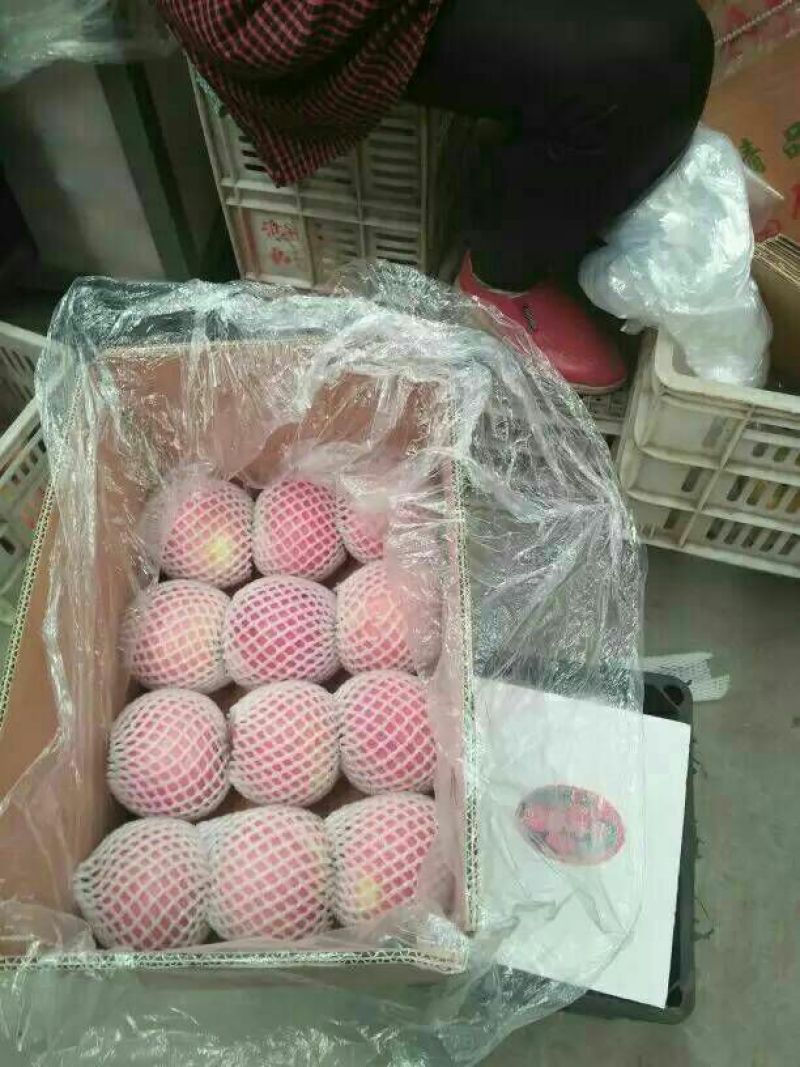嘎啦苹果纸袋，货源充足，代办一切手续，欢迎考察选购