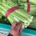 西芹50cm以上！大量上市长期合作要量大私聊支持发货