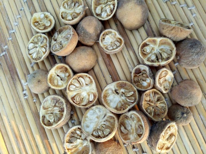 枳壳河南野生支持线上保障交易可视频看货