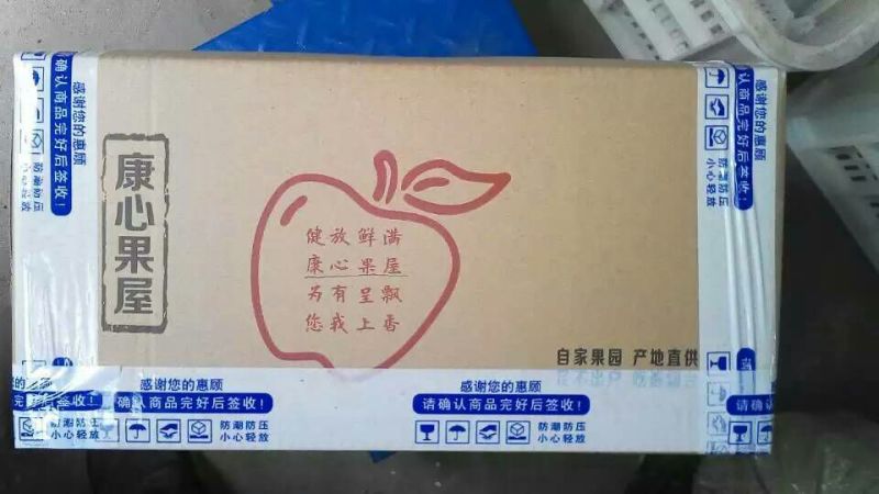 梨200~250g纸箱