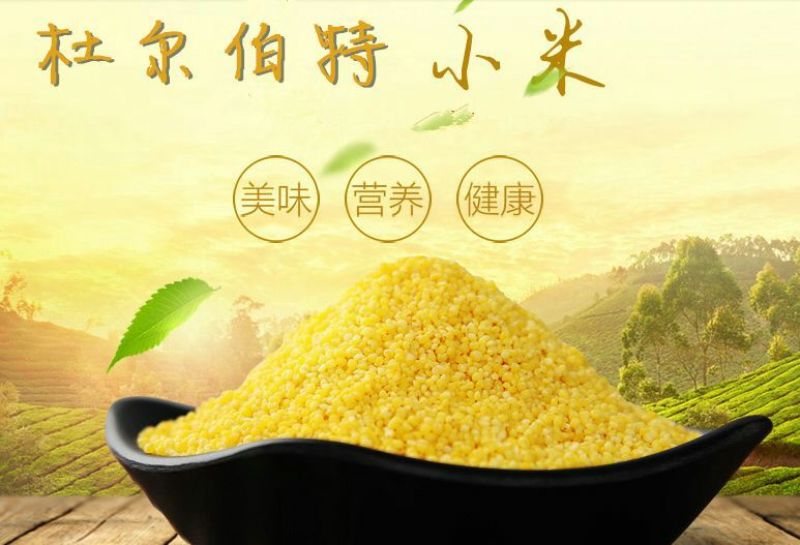黄金米袋装
