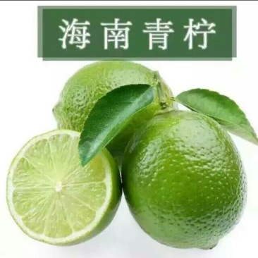 柠檬2~2.6两