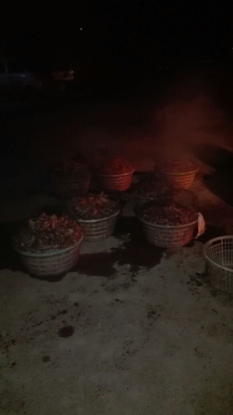皮皮虾冻虾