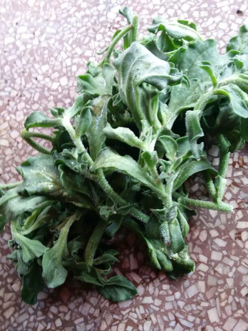 蔬菜