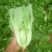 蔬菜