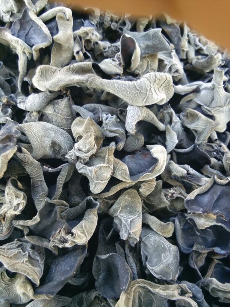 干木耳一级