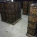 特早蜜橘，达分，四文，国庆，品质好，支持全国发货