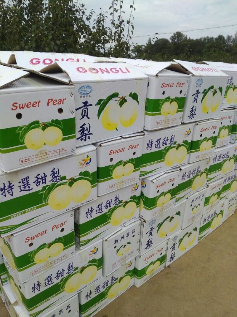 梨500~550g纸箱