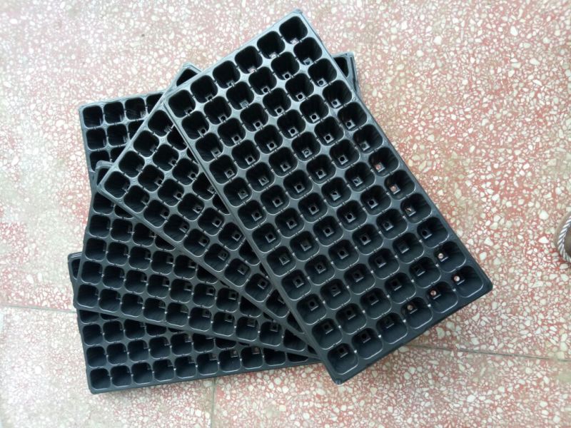 穴盘72孔