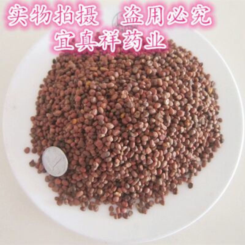 莱菔子